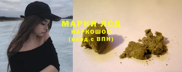 стаф Белокуриха