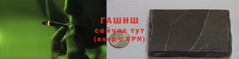 стаф Белокуриха
