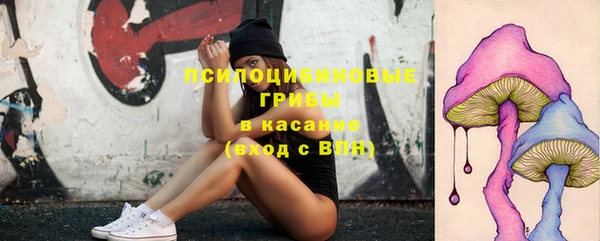 стаф Белокуриха
