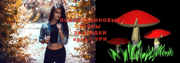 стаф Белокуриха