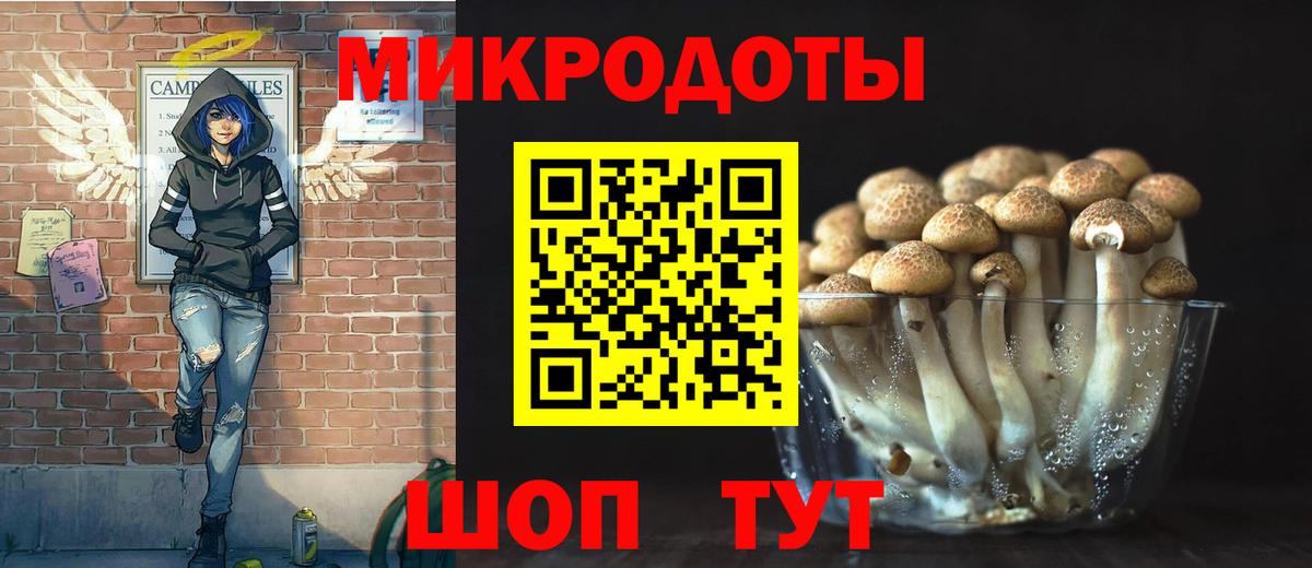 Галлюциногенные грибы мухоморы Гай