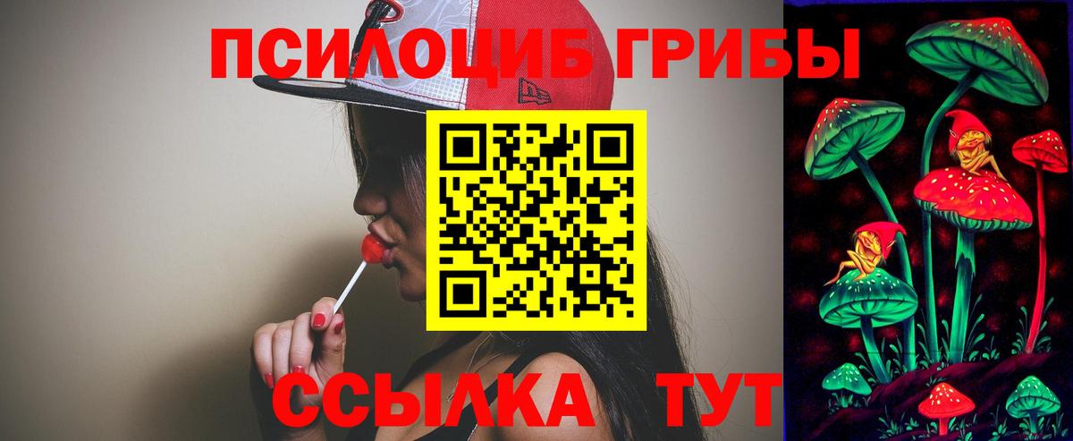 Галлюциногенные грибы мухоморы  Вход с VPN  Псилоцибиновые грибы Psilocybine cubensis  Гай 